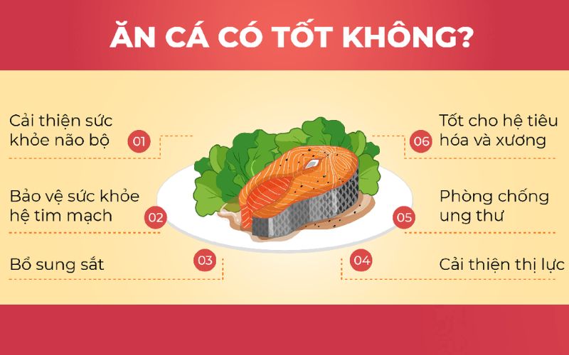 Cá mang lại rất nhiều tác dụng có ích cho cơ thể