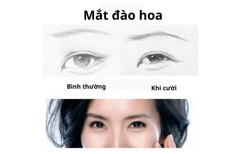 Mắt đào hoa là gì? Đặc điểm đôi mắt và vận số ra sao?