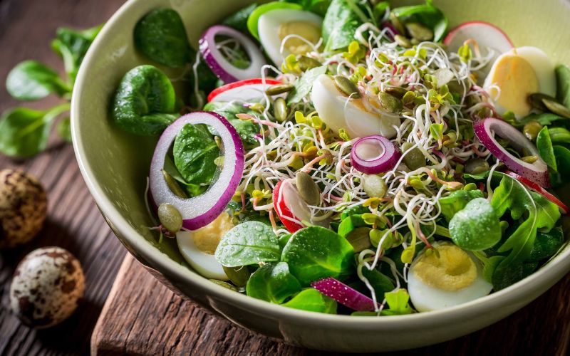 Salad rau mầm cũng là một trong các món salad giảm cân ngon miệng và hiệu quả